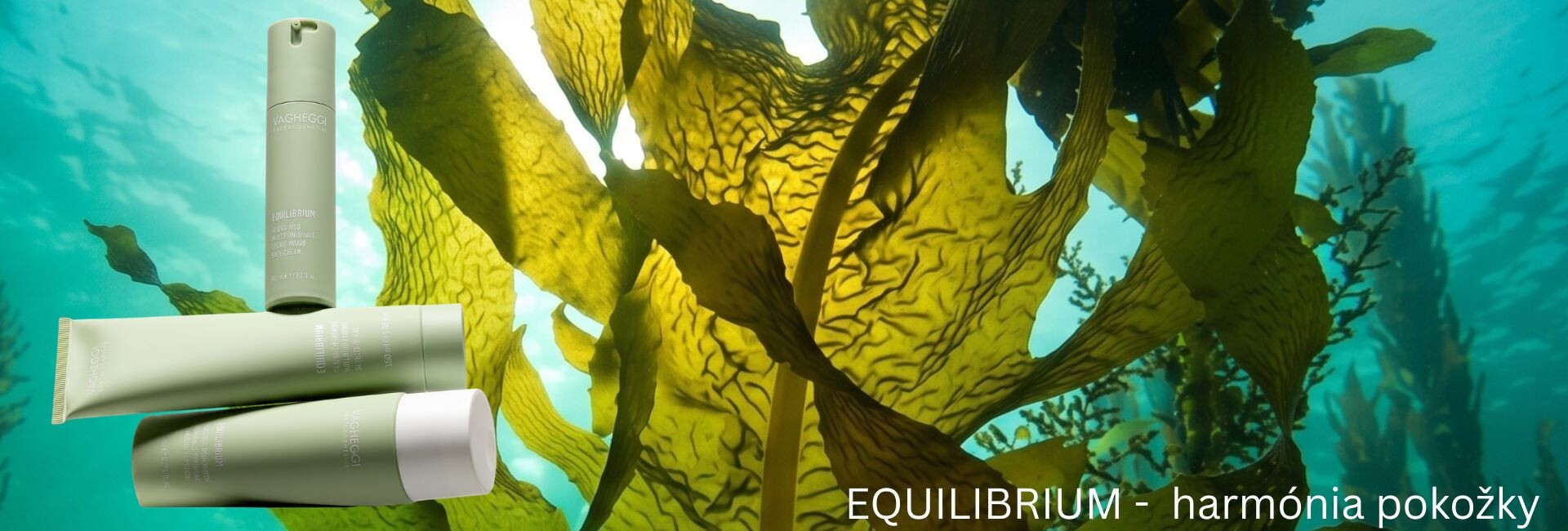 equilibrium