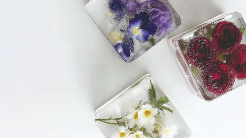 frozen flowers