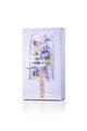 Frozen Flowers Icy  Violet – parfumovaná voda s vôňou ľadovej fialky 100 ml